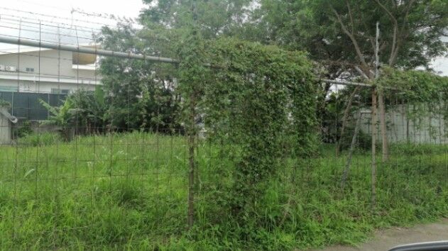 2 lotes comerciales listos para construir en Rohmoser  in Pavas, San José — ₡ 2