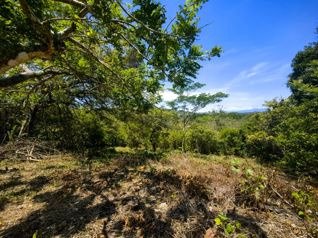 Lote con vista al Golfo de Nicoya | Esparza | Puntarenas en Espíritu Santo, Esparza, Puntarenas — $49,284 - Foto 4 de 21