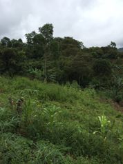 Lote en venta en Pérez Zeledón, Quebradas en San Isidro De El General, Pérez Zeledón, San José — 26 000 000 ₡ - Foto 2 de 7