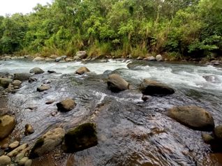 Finca con nacientes y río en La Unión de San Pedro, Pérez Zeledón in San Pedro, Pérez Zeledón, San José — $270,000 - Photo 5 of 10