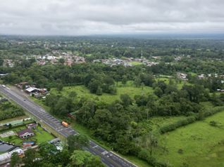 Venta de Finca de 10 hectáreas planas de uso mixto en Guácimo, Limón en Jiménez, Pococí, Limón — 500 000 000 ₡ - Foto 4 de 11