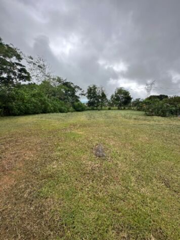 Lote 1500m ubicado en zona céntrica de Aguas Zarcas en Aguas Zarcas, San Carlos, Alajuela — ₡ 40 000