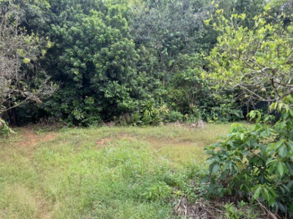 ¡VENTA DE LOTE EN PÉREZ ZELEDÓN! in San Isidro De El General, Pérez Zeledón, San José — ₡ 18 000 000