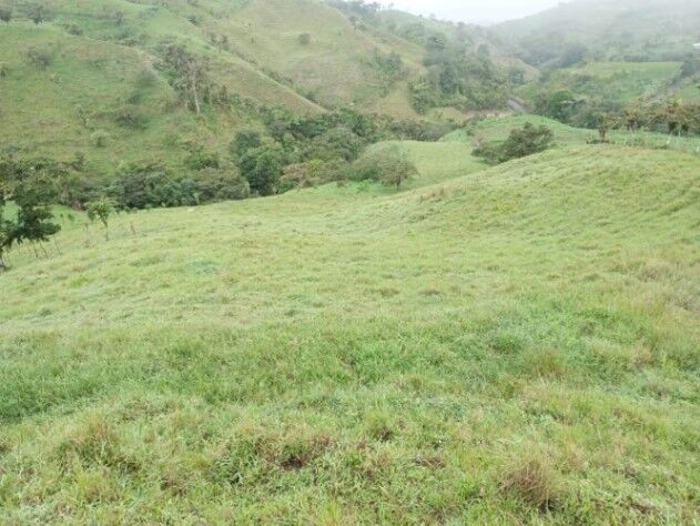 SE VENDE BELLA FINCA EN NARANJO DE ALAJUELA.  en San Miguel, Naranjo, Alajuela — ₡ 150 000 000