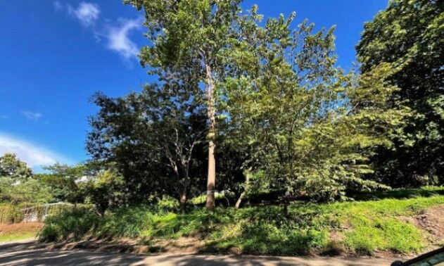 Venta de Lote en Nicoya-Guanacaste. RAH 25-916 in Nicoya, Guanacaste — ₡ 30 000 000
