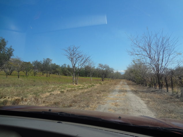 Finca 60 Ha frente a carretera Aeropuerto Liberia en Liberia, Guanacaste — $9,000,000 - Foto 2 de 4