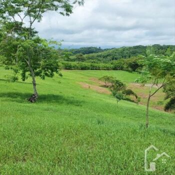 ¿Buscas el lugar perfecto para construir tu hogar soñado? ¡Tenemos la oportunidad ideal para ti! in La Ceiba, Orotina, Alajuela — $131,000 - Photo 4 of 10