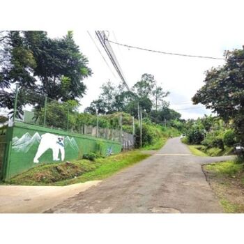 Farm For Sale Santiago, San Ramón, Alajuela