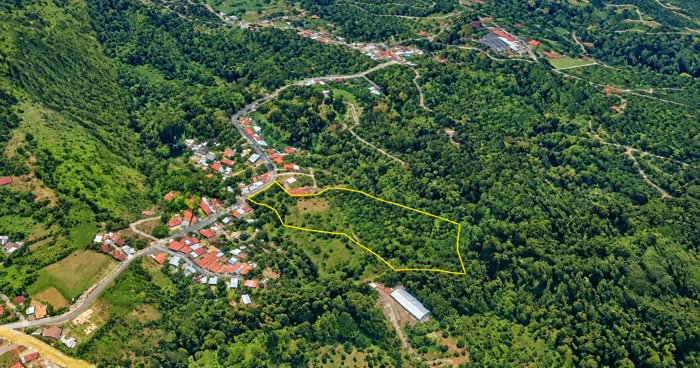 Propiedad de 20.000 m² en venta – Candelaria de Palmares in Candelaria, Palmares, Alajuela — ₡ 130 000 000