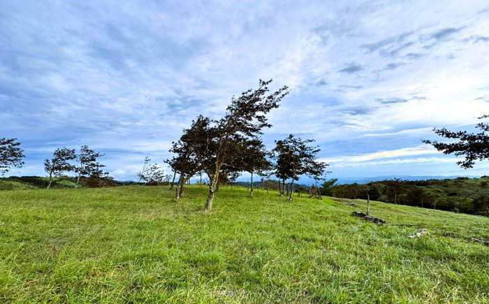 Venta de Lote con Hermosas Vistas in Piedades Sur, San Ramón, Alajuela — ₡ 22 500 000 - Photo 3 of 7