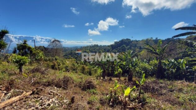 LOTE CON VISTA A LA CORDILLERA DE TALAMANCA EN PÉREZ ZELEDÓN in Platanares, Pérez Zeledón, San José — $14,000