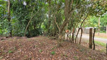 Lote con Quebrada y Bosque Natural en San Mateo | 2.506 m² in Labrador, San Mateo, Alajuela — $100,000 - Photo 4 of 37