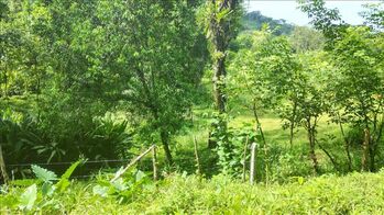 SE VENDE LOTE / TERRENO EN NARANJITO, QUEPOS en Naranjito, Quepos, Puntarenas — $300,000 - Foto 5 de 7
