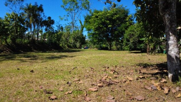 EN VENTA: LOTE LISTO PARA CONSTRUIR EN SAN PEDRO, PÉREZ ZELEDÓN in San Isidro De El General, Pérez Zeledón, San José — $54,999
