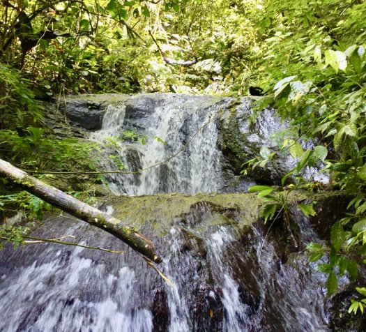 Venta de finca en Puntarenas - Uvita, Bahía Ballena in Bahía Ballena, Osa, Puntarenas — $760,000