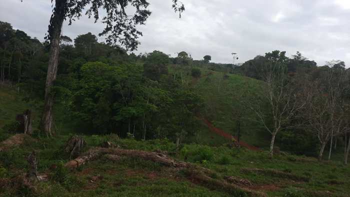 Venta de Finca Ganadera con Operación Llave en Mano en San Marcos de Cutris en Cutris, San Carlos, Alajuela — ₡ 460 000 000