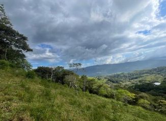 Finca ideal para urbanizar 10 minutos de Atenas Centro en Atenas, Alajuela — $3,942,240 - Foto 4 de 10