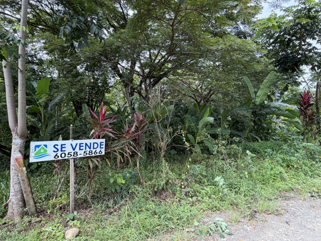 LOTE PLAYA NEGRA PUERTO VIEJO NATURALEZA A SU ALCANCE in Cahuita, Talamanca, Limón — $93,300 - Photo 3 of 42