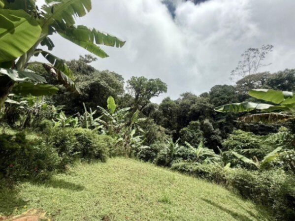 Venta de Lote en Varablanca, Heredia. RAH 26-384 in Vara Blanca, Heredia — $445,000