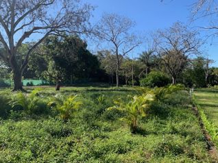 SE VENDEN QUINTAS EN MIRAMAR DE PUNTARENAS en Miramar, Montes De Oro, Puntarenas — 80 000 000 ₡ - Foto 4 de 15