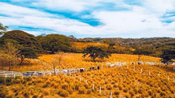 Farm for Sale in Fortuna de Bagaces, Guanacaste – Tourism, Residential, and Agricultural Investment en La Fortuna, Bagaces, Guanacaste — $950,000 - Foto 4 de 22