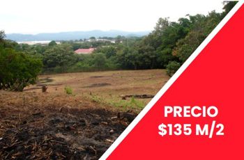 Venta Terreno de Desarrollo Industrial, Alajuela, El Coyol - Foto 3 de 3
