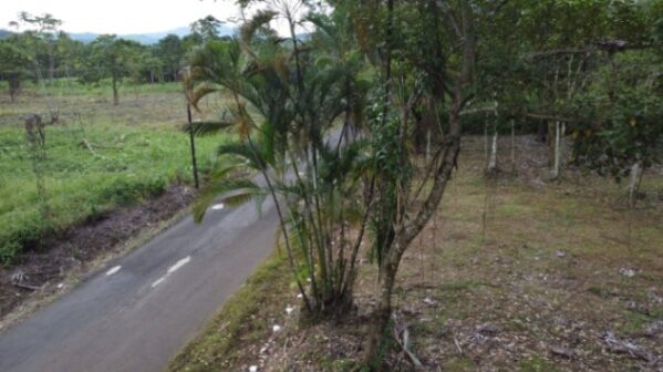 Quintas en la Tigra de San Carlos en La Tigra, San Carlos, Alajuela — ₡ 40 000 000