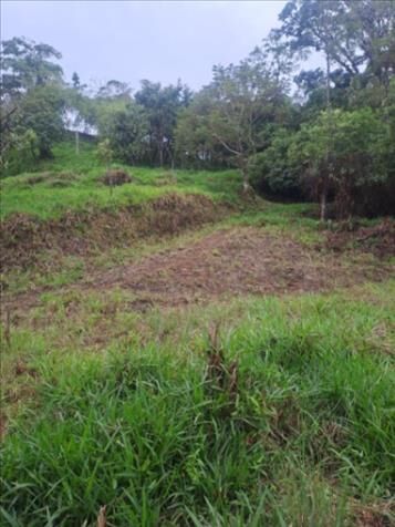 DE OPORTUNIDAD BELLA FINCA EN CINCHONA, ALAJUELA.  en Alajuela — ₡ 12 000 000
