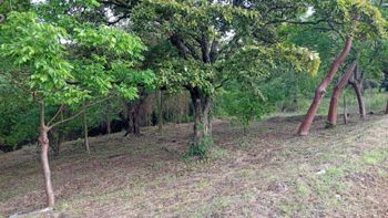 Venta Lote en Guanacaste - Photo 3 of 3