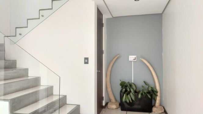 Alquiler de Casa en Santa Ana, San José. RAH 25-662 en Santa Ana, San José — $4,200
