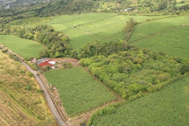 Finca Agricola (Aprovechable varios usos) 60ha en Sarchí Norte, Sarchí, Alajuela — $2,999,000