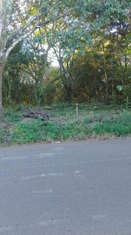 SE VENDEN 2 BELLOS LOTES EN DERECHO EN ALAJUELA.  en Alajuela — ₡ 20 000 000