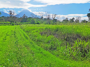 Propiedad para inversión en La Fortuna in La Fortuna, San Carlos, Alajuela — $450,000 - Photo 3 of 29