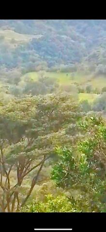 Se vende finca en Tabarcia de Mora, Ciudad Colón. in Tabarcia, Mora, San José — ₡ 250 000 000