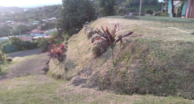 VENDO BELLÍSIMO LOTE EN CONCEPCIÓN DE SAN RAMÓN.  en Concepción, San Ramón, Alajuela — ₡ 18 000 000