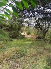 Lote en Santa Ana para Desarrollador en Pozos, Santa Ana, San José — $1,614,080 - Foto 2 de 10