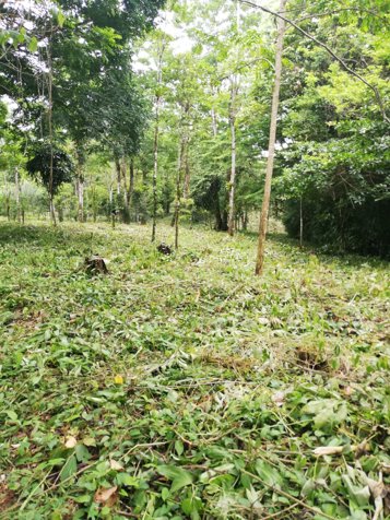 TERRENO EN BAJO RODRÍGUEZ en Rodríguez, Sarchí, Alajuela — $60,000 - Foto 3 de 8