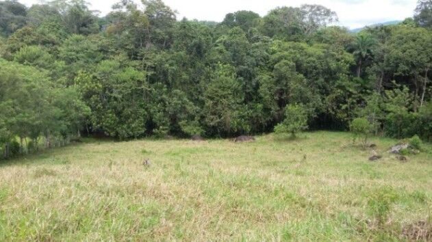 MLS-25-765 LS VENTA FINCA PEREZ ZELEDON SAN JOSE CONTACTENOS AL # 86127562 en San Pedro, Pérez Zeledón, San José — ₡ 75 000 000