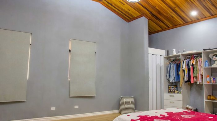 2 apartamentos, grande oficina y piscina en area exclusiva en Atenas, Alajuela — $350,000 - Foto 3 de 16