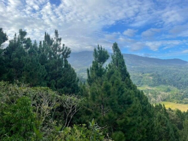 Finca con Proyecto de Reforestación en Santa Cruz, Turrialba, Cartago — $150,000
