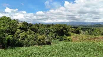 SE VENDE FINCA DE TIERRA FERTIL EN GENERAL VIEJO,PÉREZ Z. en San Isidro De El General, Pérez Zeledón, San José — $340,000 - Foto 5 de 15