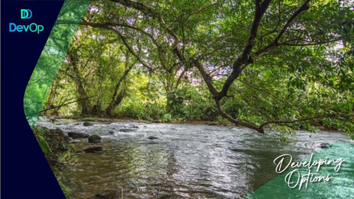Venta de finca en San Ramón de Alajuela in San Ramón, Alajuela — $340,000