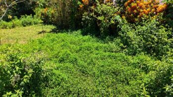 EN VENTA - TERRENO LISTO PARA CONSTRUIR EN UBICACION ESTRATEGICA en Cajón, Pérez Zeledón, San José — 5 000 000 ₡ - Foto 4 de 9