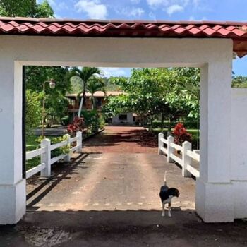 Propiedad en La Florencia de San Carlos, Alajuela, Costa Rica – Oportunidad de inversión. en Florencia, San Carlos, Alajuela — $250,000 - Foto 5 de 10