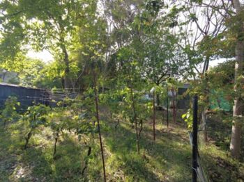 MLS-25-1074 VENTA LOTE SAN ANTONIO BELEN en San Antonio, Belén, Heredia — 75 000 000 ₡ - Foto 5 de 6