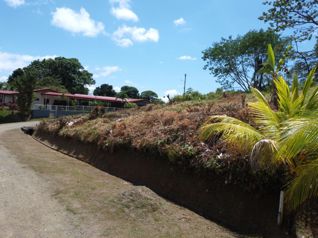 Build Your Dream in Paradise – Flat Jungle Lot with Mountain & Waterfall Views - Photo 2 of 3