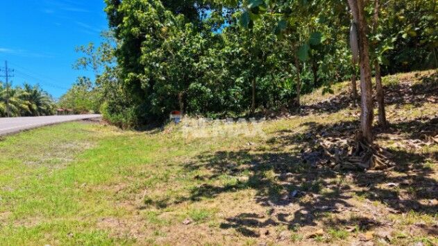 LOTE EN VENTA EN TAWAL, OSA – 5,029 m² CON USO MIXTO Y FRENTE A CARRETERA PRINCIPAL en Puerto Cortés, Osa, Puntarenas — $120,000
