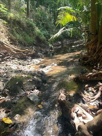 Hermosa propiedad a la venta en Carmona, Nandayure, Guanacaste — ₡ 270 000 000