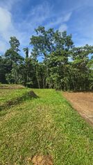 Lote con Río y Bosque en La Fortuna 766m2  en La Fortuna, San Carlos, Alajuela — 45 600 000 ₡ - Foto 5 de 8