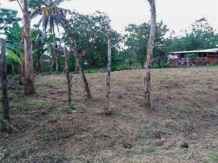 VENTA DE LOTE, ALAJUELA, RIO CUARTO. en Alajuela — ₡ 10 000 000